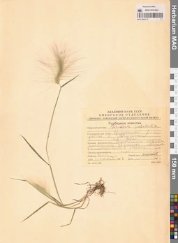 MAG 0004712