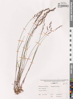 MAG 0015643