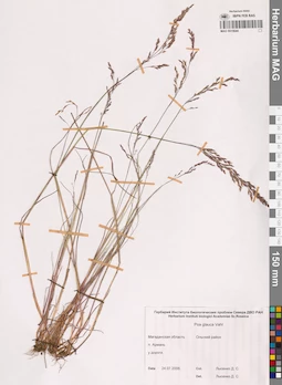 MAG 0015644