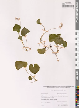 MAG 0015662