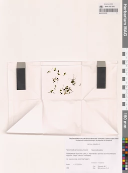 MAG 0016359