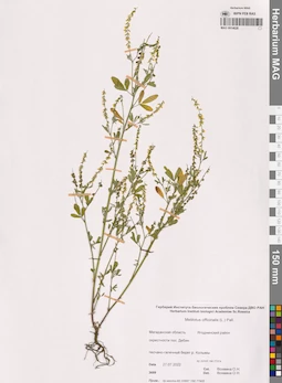 MAG 0014628