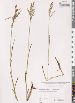 MAG 0014638