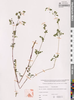 MAG 0014639