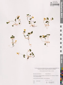 MAG 0016329