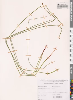 MAG 0016351