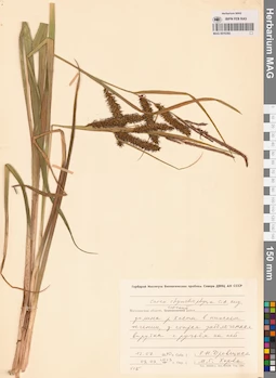 MAG 0016360