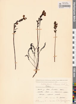 MAG 0016361