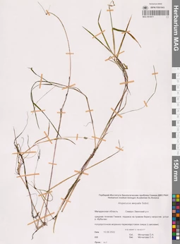 MAG 0014611