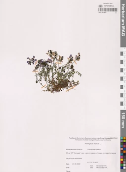 MAG 0014627