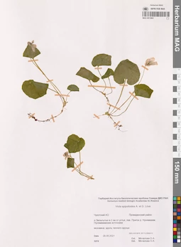 MAG 0015661