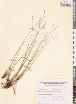 MAG 0015712