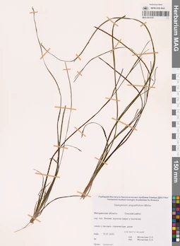MAG 0015751