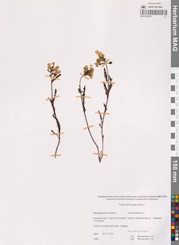 MAG 0015693