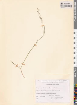 MAG 0015710