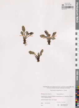 MAG 0015758