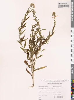MAG 0015827