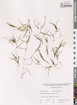 MAG 0015859