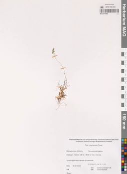 MAG 0015869