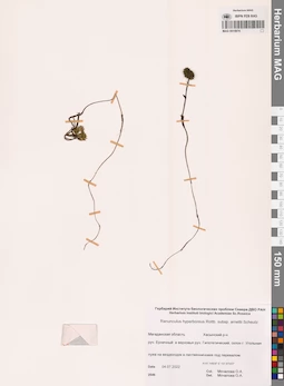 MAG 0015874