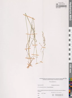 MAG 0015852