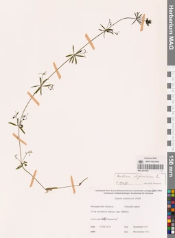 MAG 0014035