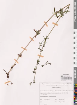 MAG 0014180