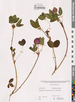 MAG 0014292