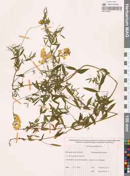 MAG 0010840