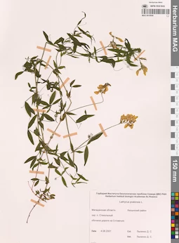 MAG 0010846
