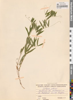 MAG 0014664