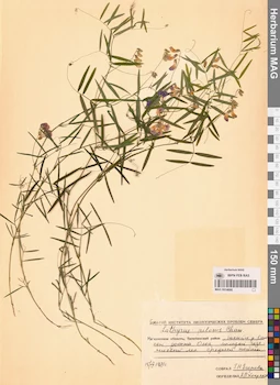 MAG 0014668