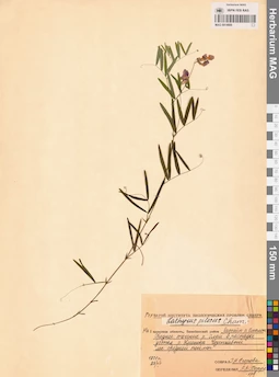 MAG 0014669