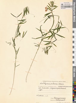 MAG 0014671