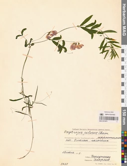 MAG 0014678