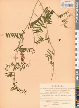 MAG 0014719