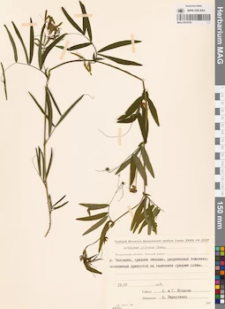 MAG 0014758