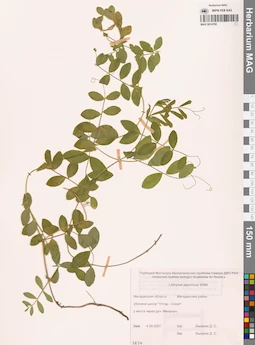 MAG 0014760