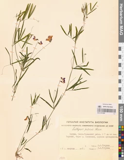 MAG 0015969