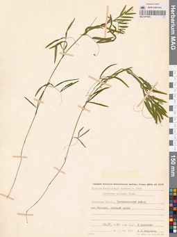 MAG 0015991