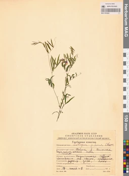 MAG 0016024