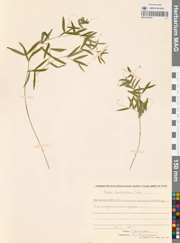 MAG 0016027