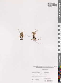 MAG 0014808