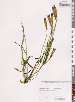 MAG 0014822
