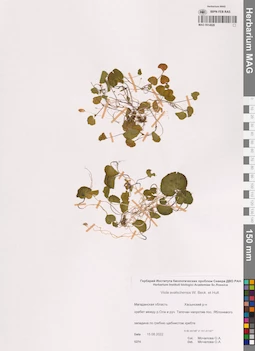 MAG 0014828