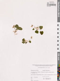 MAG 0014829