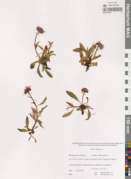 MAG 0014835