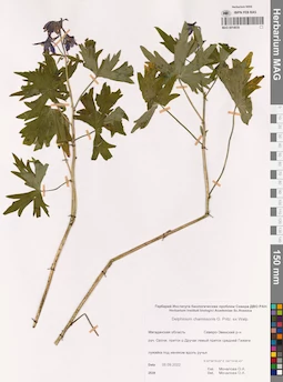 MAG 0014839