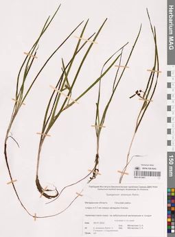 MAG 0014863