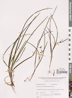 MAG 0014866